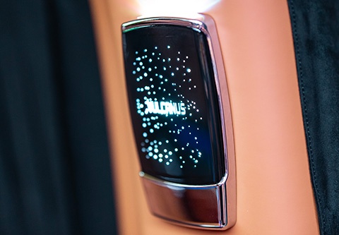 暉凰細(xì)節(jié) (3)