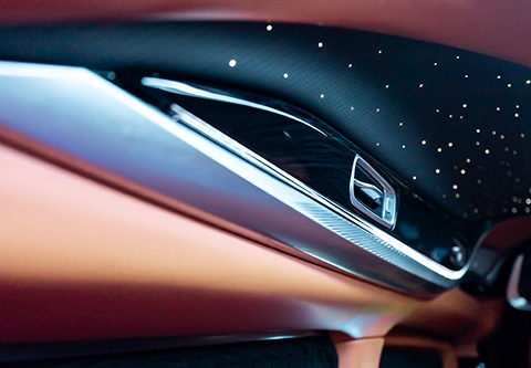 暉凰細(xì)節(jié) (5)