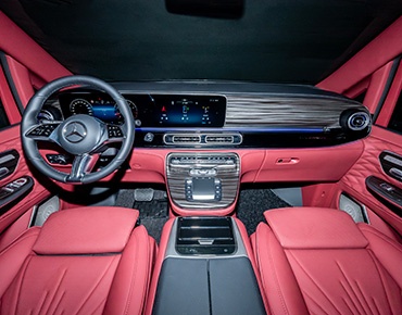 威赫內(nèi)飾 (1)