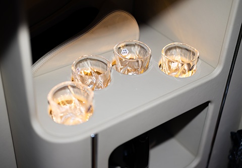 考斯特商務(wù)12座細(xì)節(jié) (3)